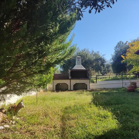 Billias House Villa วูร์วูรู ภายนอก รูปภาพ